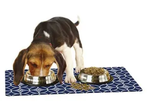 Drymate Pet Bowl Placemat, 12" x 20"