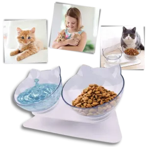 Elevated Comfort Bowl for Cats