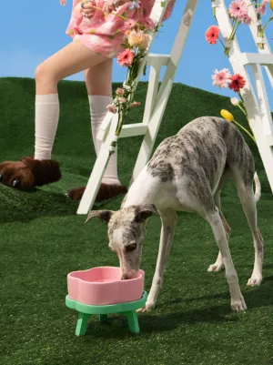 Flora Ceramic Pet Bowl