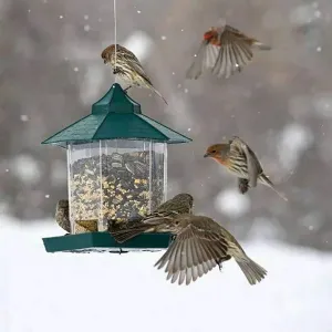 Funki Buys | Bird Feeders | Waterproof Hanging Wild Bird Feeder