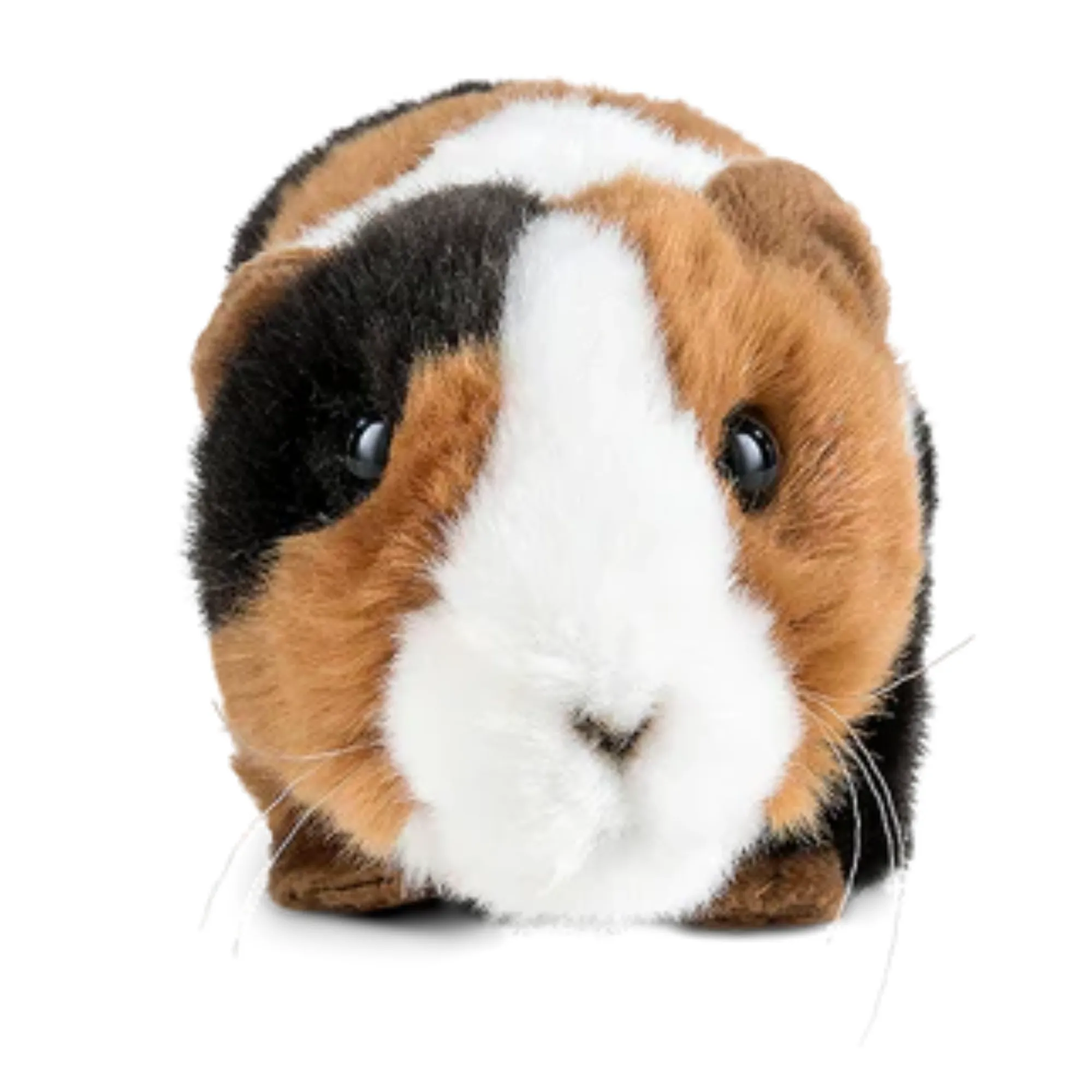 Guinea Pig Soft Toy