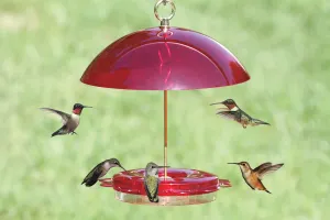 Hummerfest Feeder & Weather Guard