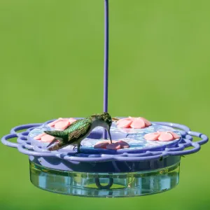 Petunia Passion Plastic Dish Hummingbird Feeder